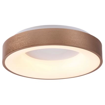 Rabalux 5053 - Plafonnier LED CARMELA LED/50W/230V