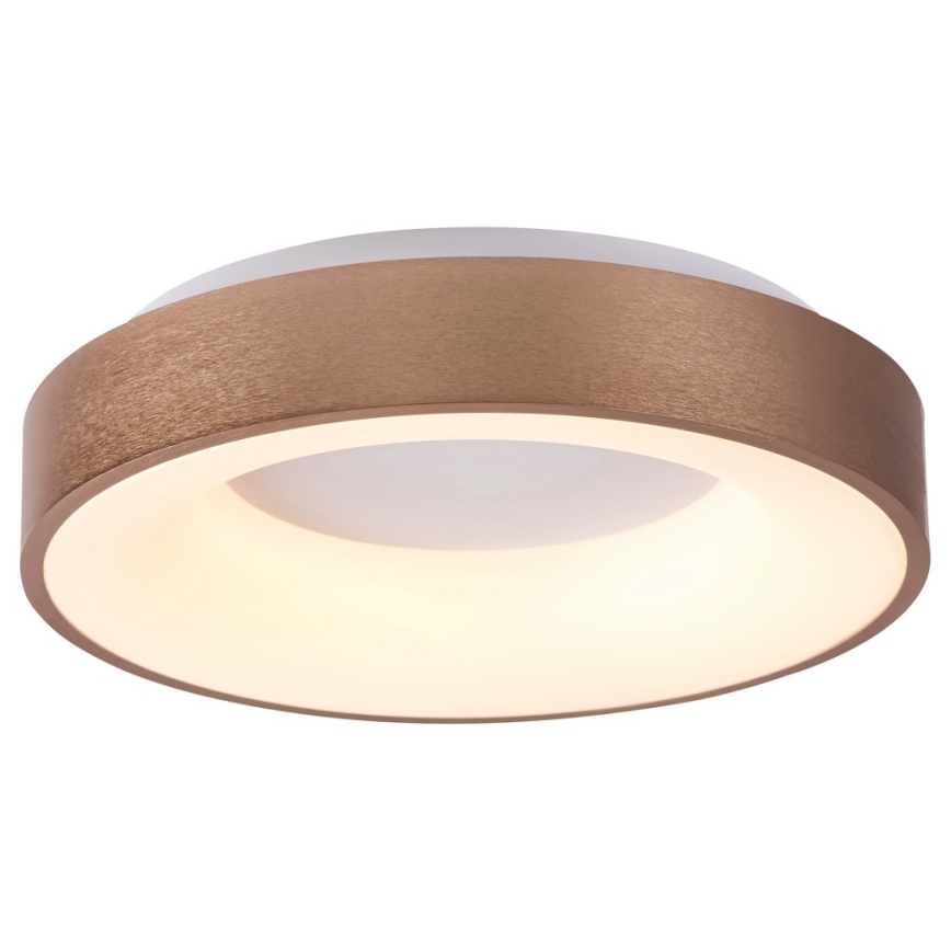 Rabalux 5053 - Plafonnier LED CARMELA LED/50W/230V