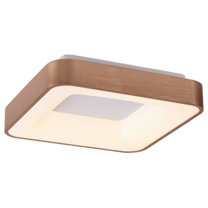 Rabalux - Plafonnier CARMELA LED/30W/230V 40x40 cm