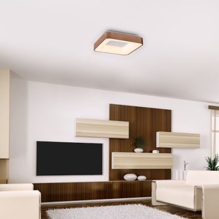 Rabalux - Plafonnier CARMELA LED/30W/230V 40x40 cm