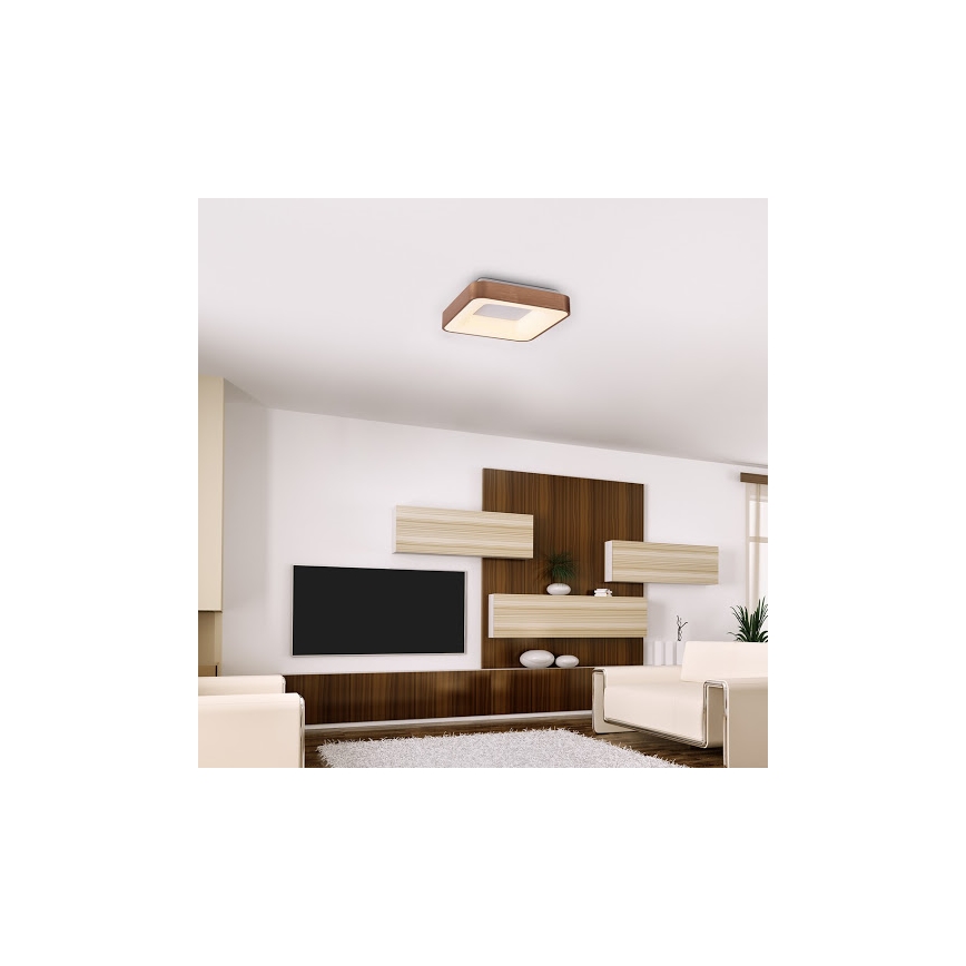 Rabalux - Plafonnier CARMELA LED/30W/230V 40x40 cm