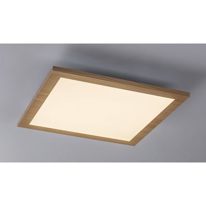 Rabalux - LED Surface-mounted panel LED/12W/230V 4000K