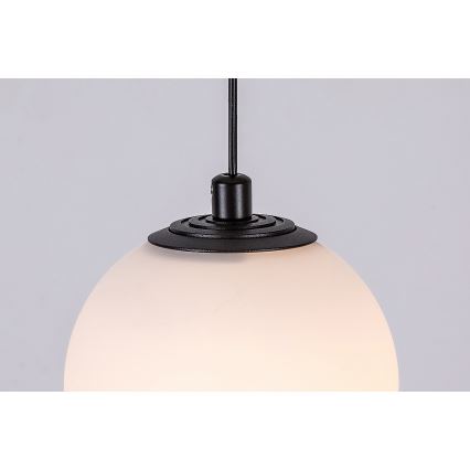 Rabalux - Suspension filaire pour système de rail monophasé LED/5W/24V 3000K noir