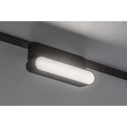 Rabalux - Plafonnier pour système de rail monophasé LED/6W/24V 4000K 11,5 cm noir