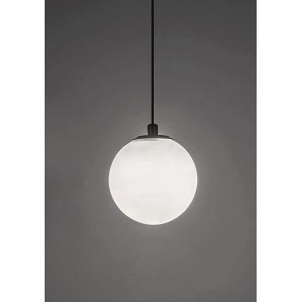 Rabalux - Suspension filaire pour système de rail monophasé LED/5W/24V 4000K noir