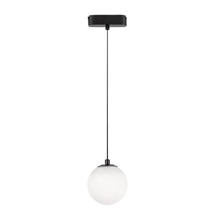 Rabalux - Suspension filaire pour système de rail monophasé LED/5W/24V 4000K noir