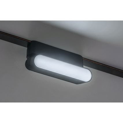 Rabalux - Plafonnier à intensité variable pour système de rail monophasé LED/4W/24V 2700-5500K Wi-Fi Tuya 11,5 cm noir
