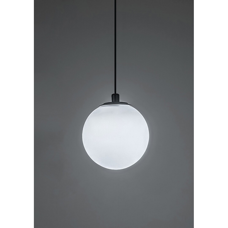 Rabalux - Suspension filaire à intensité variable pour système de rail monophasé LED/5W/24V 2700-5500K Wi-Fi Tuya noir