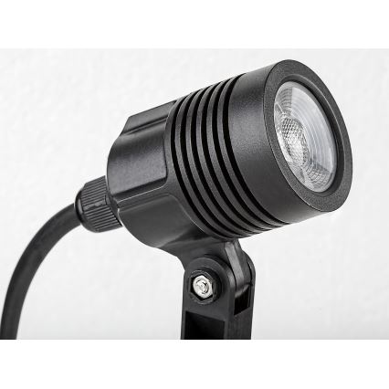 Rabalux - Lampe d'extérieur LED/3W/230V IP65
