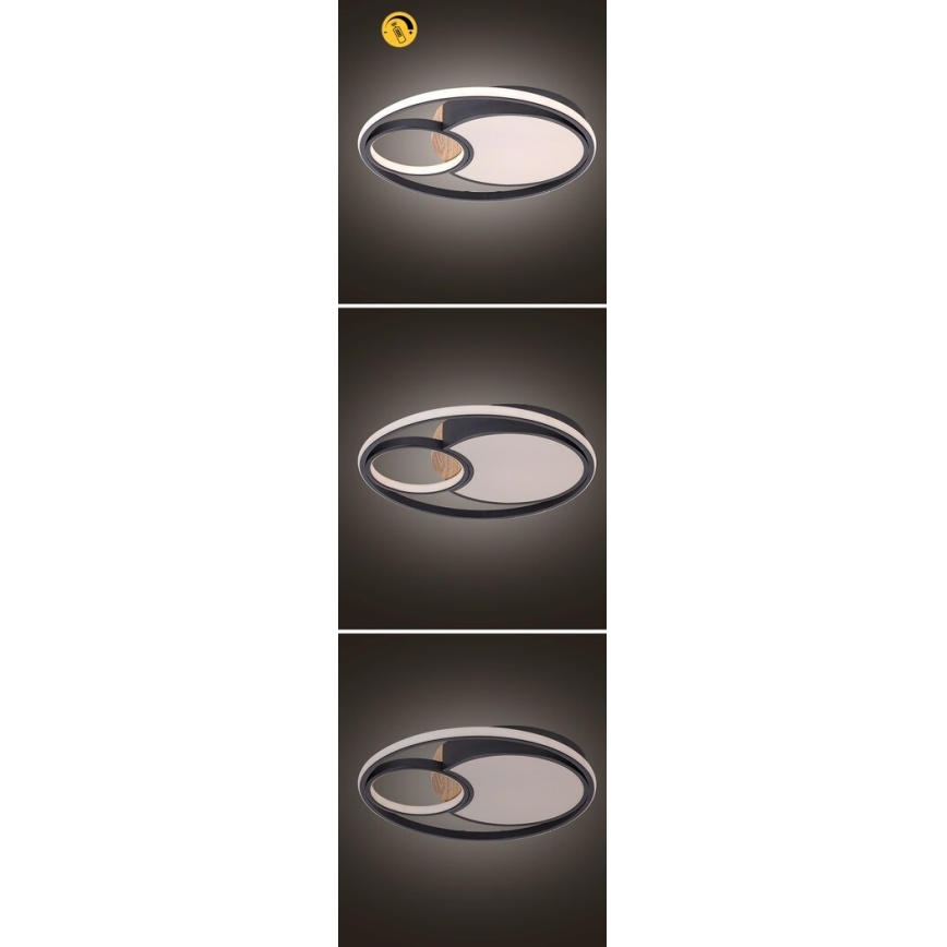 Rabalux - Plafonnier LED dimmable LED/81W/230V 3000K/4000K/6000K Ø 48 cm + télécommande
