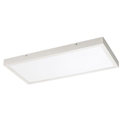Rabalux - Panneau en saillie LED/24W/230V 4000K 60x30 cm