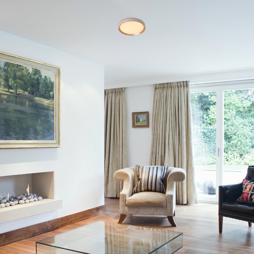 Rabalux - Plafonnier LED/25W/230V 3000K diam. 38 cm