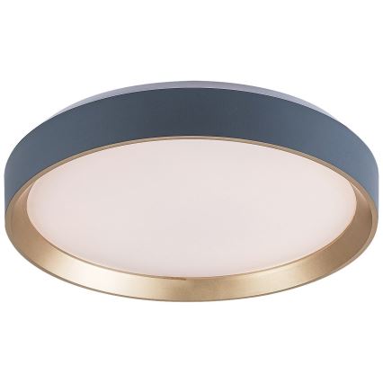 Rabalux - Plafonnier LED/25W/230V 3000K diam. 38 cm