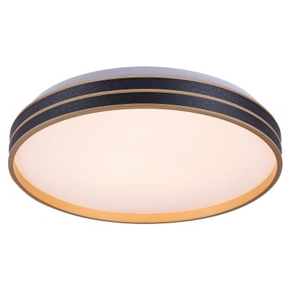 Rabalux - Plafonnier LED dimmable LED/24W/230V 3000-6500K Ø 39 cm + télécommande