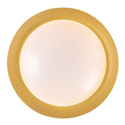 Rabalux - Plafonnier LED/20W/230V 3000K d. 30 cm