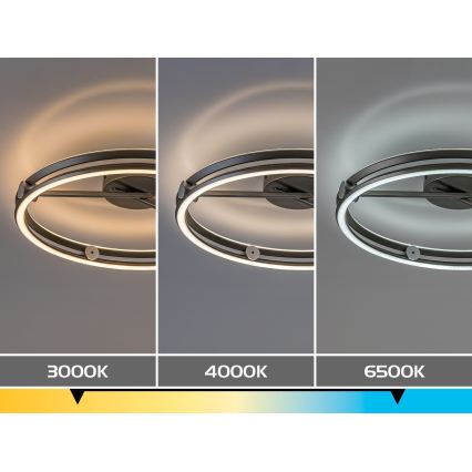 Rabalux - Plafonnier LED dimmable LED/60W/230V 3000-6500K Ø 50 cm gris + télécommande