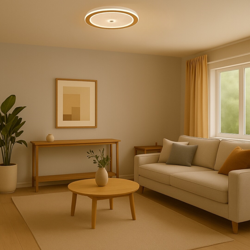 Rabalux - Plafonnier LED dimmable LED/34W/230V 3000-6500K Ø 51 cm + télécommande
