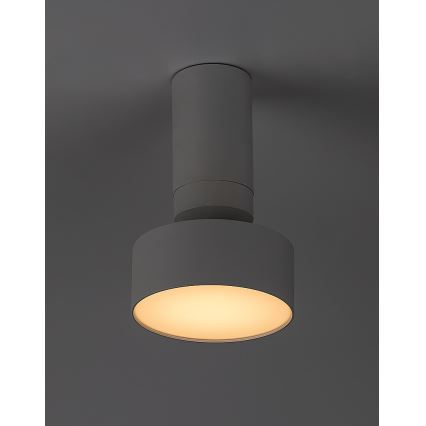 Rabalux - Plafonnier LED/10W/230V 3000K blanc