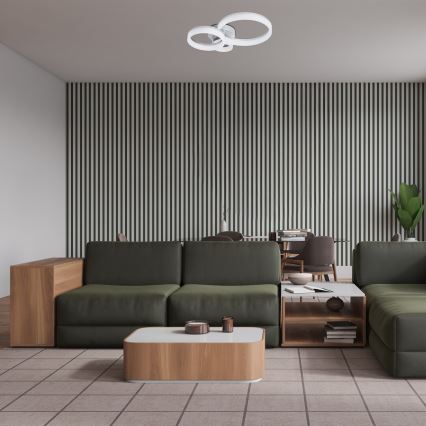 Rabalux - Plafonnier LED 24W 230V, 3000/4000/6500K, 38 x 51 cm, chrome mat