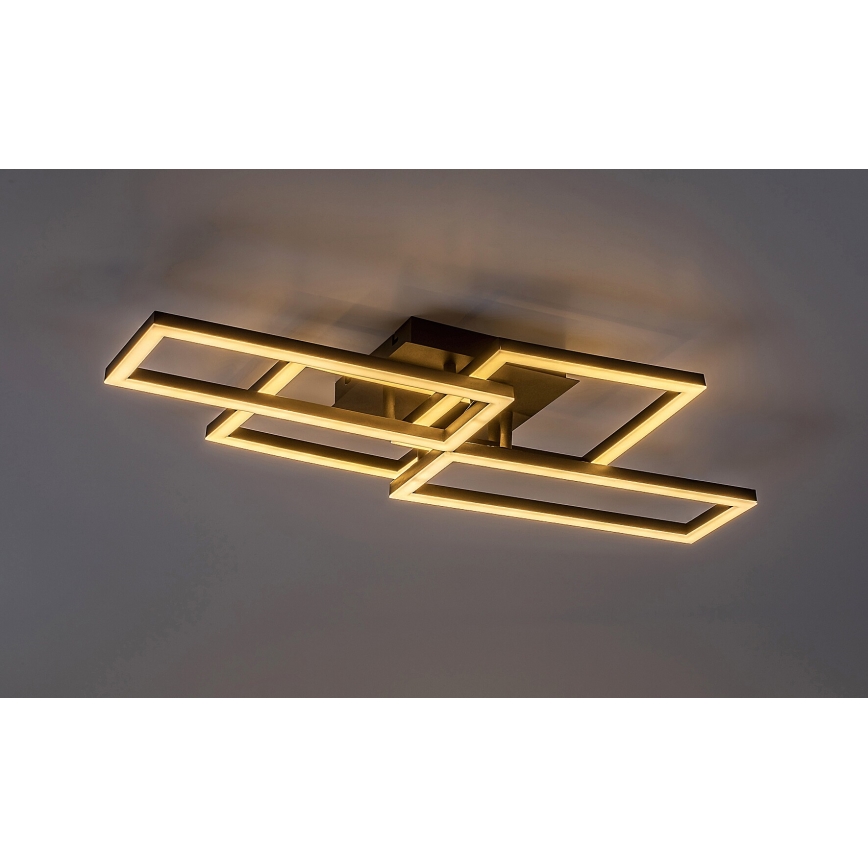 Rabalux - Plafonnier LED dimmable LED/40W/230V 3000-6500K 35x70 cm + télécommande