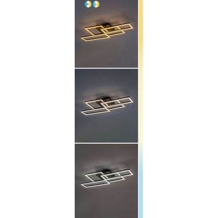Rabalux - Plafonnier LED dimmable LED/40W/230V 3000-6500K 35x70 cm + télécommande