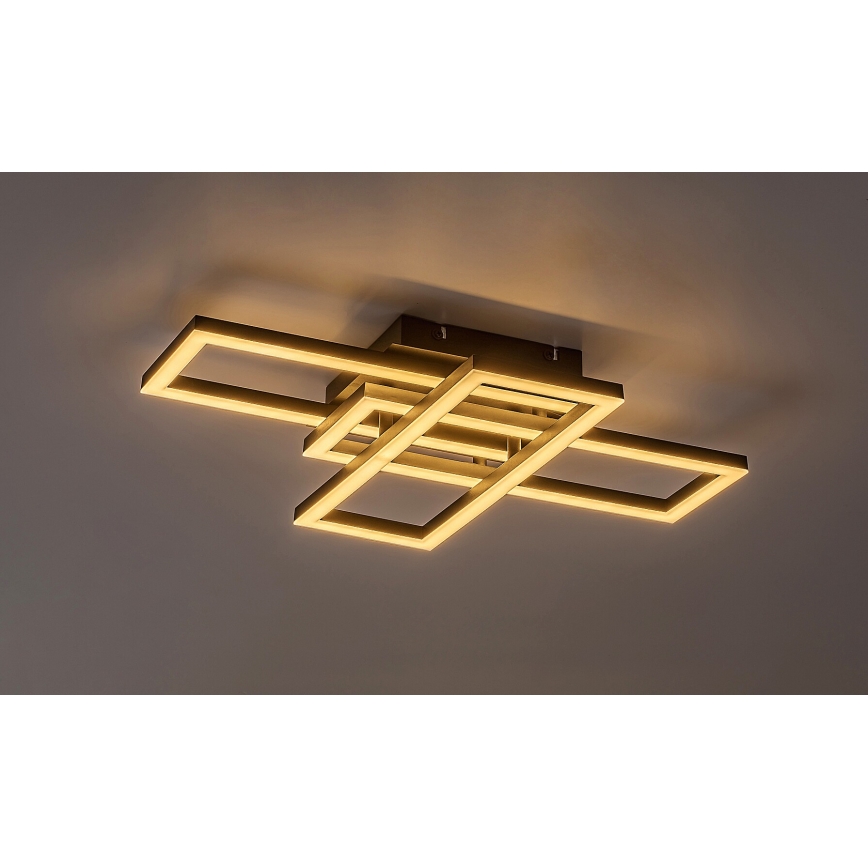 Rabalux - Plafonnier dimmable LED/40W/230V 3000-6500K + télécommande 35x50 cm