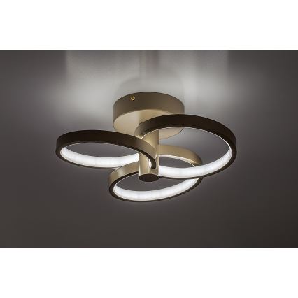 Rabalux - Plafonnier LED dimmable LED/32W/230V 3000-6500K Ø 31 cm beige + télécommande