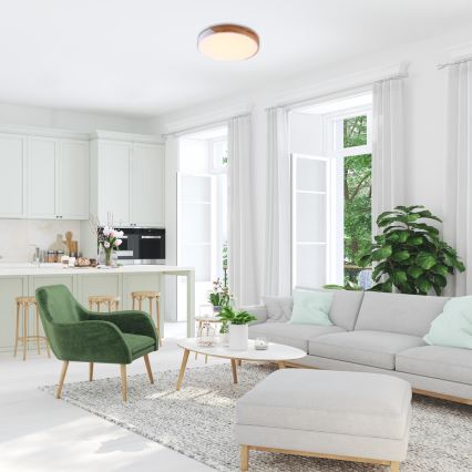 Rabalux - Plafonnier LED 24W/230V 3000K blanc/chêne Ø 61 cm