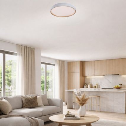 Rabalux - LED Dimmable plafonnier LED/34W/230V 3000-6500K Ø 38 cm + télécommande
