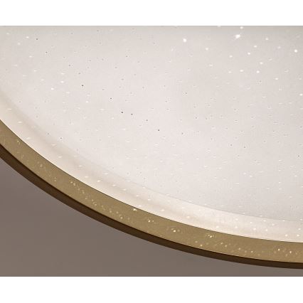 Rabalux - LED Dimmable plafonnier LED/34W/230V 3000-6500K Ø 38 cm + télécommande