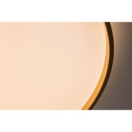 Rabalux - Plafonnier LED dimmable, 60W/230V, 3000-6500K, Ø 58 cm + télécommande
