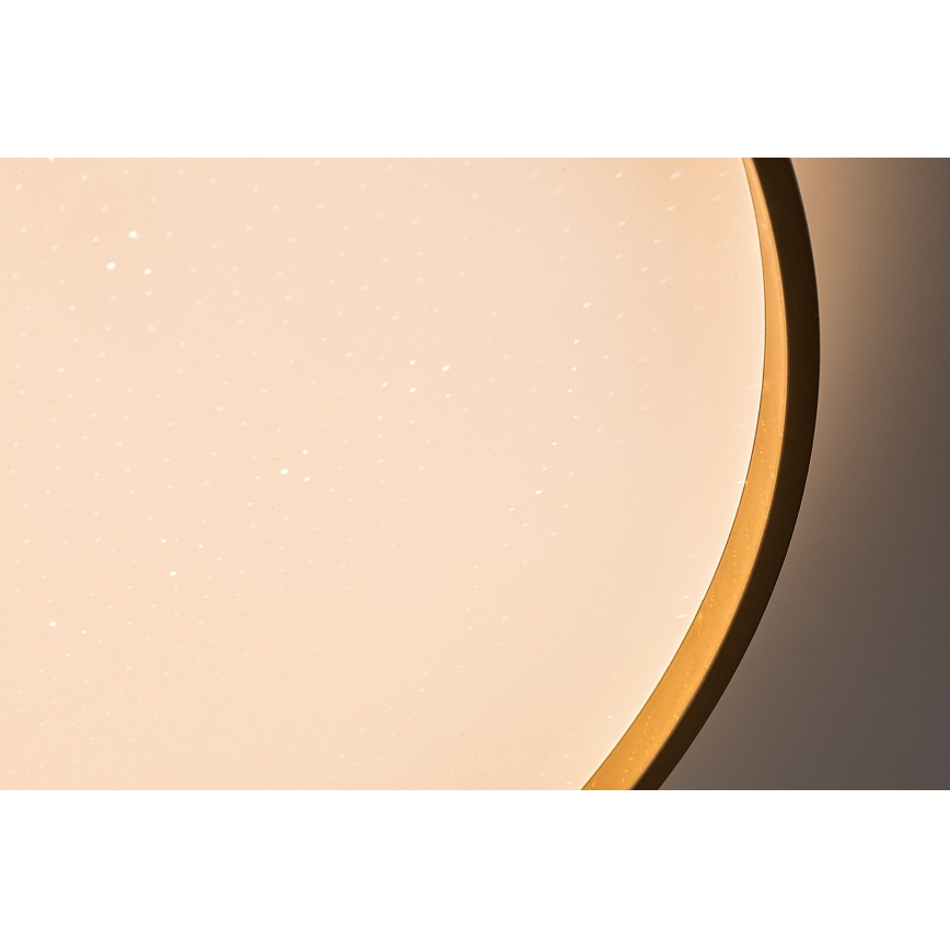 Rabalux - Plafonnier LED dimmable, 60W/230V, 3000-6500K, Ø 58 cm + télécommande
