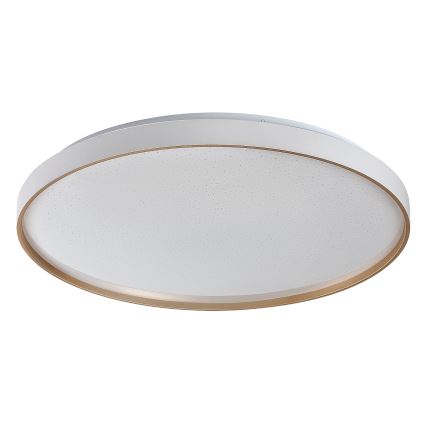 Rabalux - Plafonnier LED dimmable 80W 230V 3000-6500K Ø 77 cm + télécommande