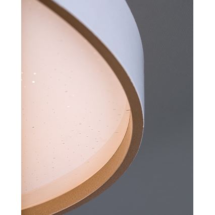 Rabalux - Plafonnier LED dimmable 80W 230V 3000-6500K Ø 77 cm + télécommande