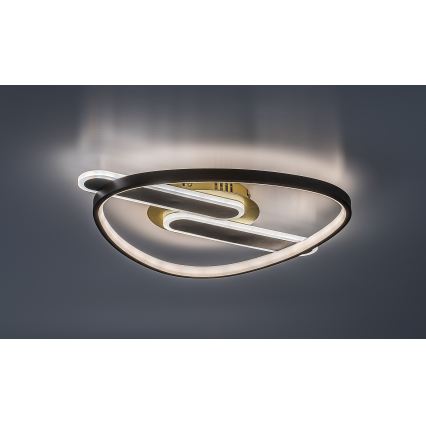 Rabalux - Plafonnier LED dimmable LED/60W/230V 3000-6000K 53x45 cm + télécommande