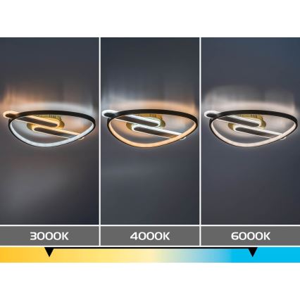 Rabalux - Plafonnier LED dimmable LED/60W/230V 3000-6000K 53x45 cm + télécommande