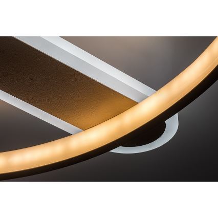 Rabalux - Plafonnier LED dimmable LED/55W/230V 3000-6000K 53x45 cm + télécommande