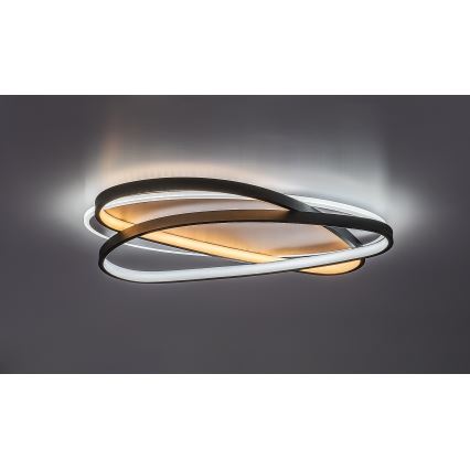 Rabalux - Plafonnier LED dimmable LED/57W/230V 3000-6000K 53x38 cm + télécommande