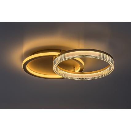 Rabalux - Plafonnier LED dimmable LED/22W/230V 3000-6500K 53,5x35 cm + télécommande