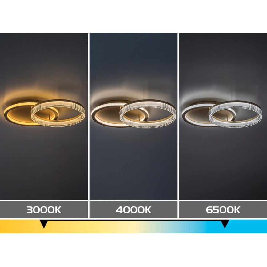 Rabalux - Plafonnier LED dimmable LED/22W/230V 3000-6500K 53,5x35 cm + télécommande