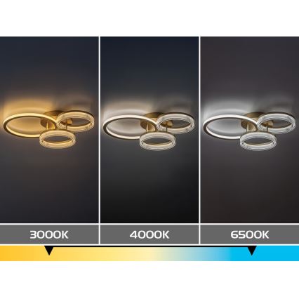 Rabalux - Plafonnier LED dimmable LED/38W/230V 3000-6500K 58,5x38 cm + télécommande