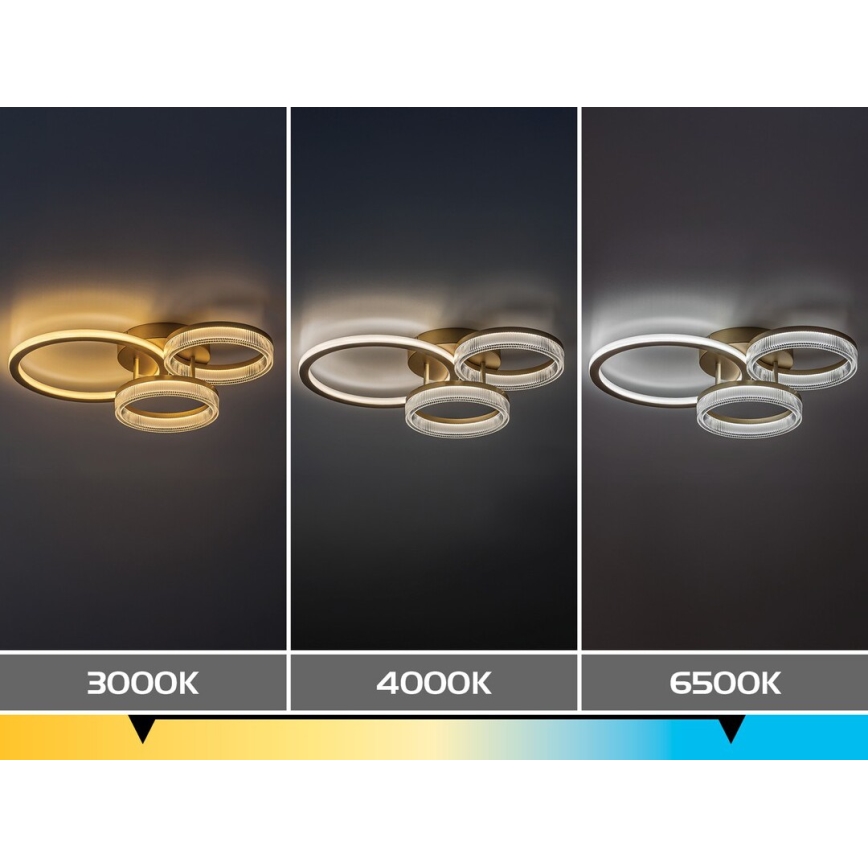 Rabalux - Plafonnier LED dimmable LED/38W/230V 3000-6500K 58,5x38 cm + télécommande