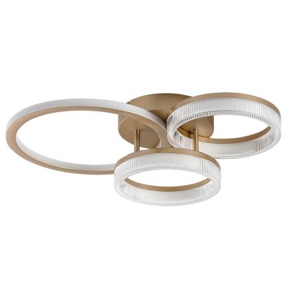 Rabalux - Plafonnier LED dimmable LED/38W/230V 3000-6500K 58,5x38 cm + télécommande