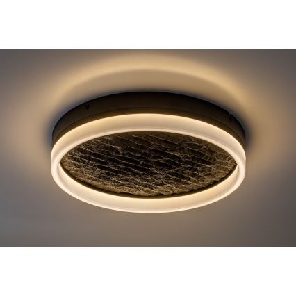 Rabalux - Plafonnier LED dimmable LED/24W/230V 3000-6500K Ø 40 cm noir + télécommande
