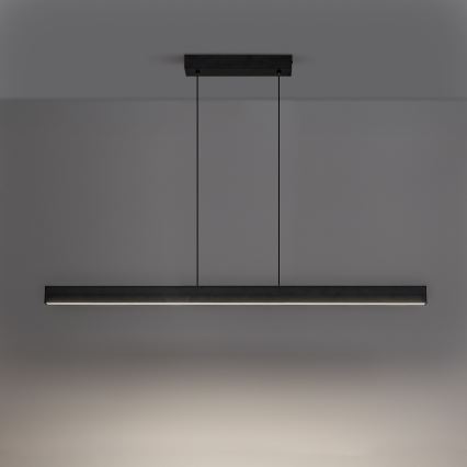 Rabalux - Suspension LED sur câble LED/19W/230V 4000K noire