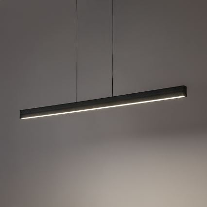 Rabalux - Suspension LED sur câble LED/19W/230V 4000K noire