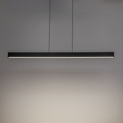 Rabalux - Suspension LED sur câble LED/19W/230V 4000K noire