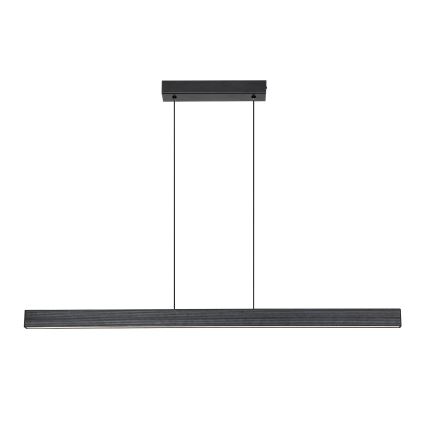 Rabalux - Suspension LED sur câble LED/19W/230V 4000K noire
