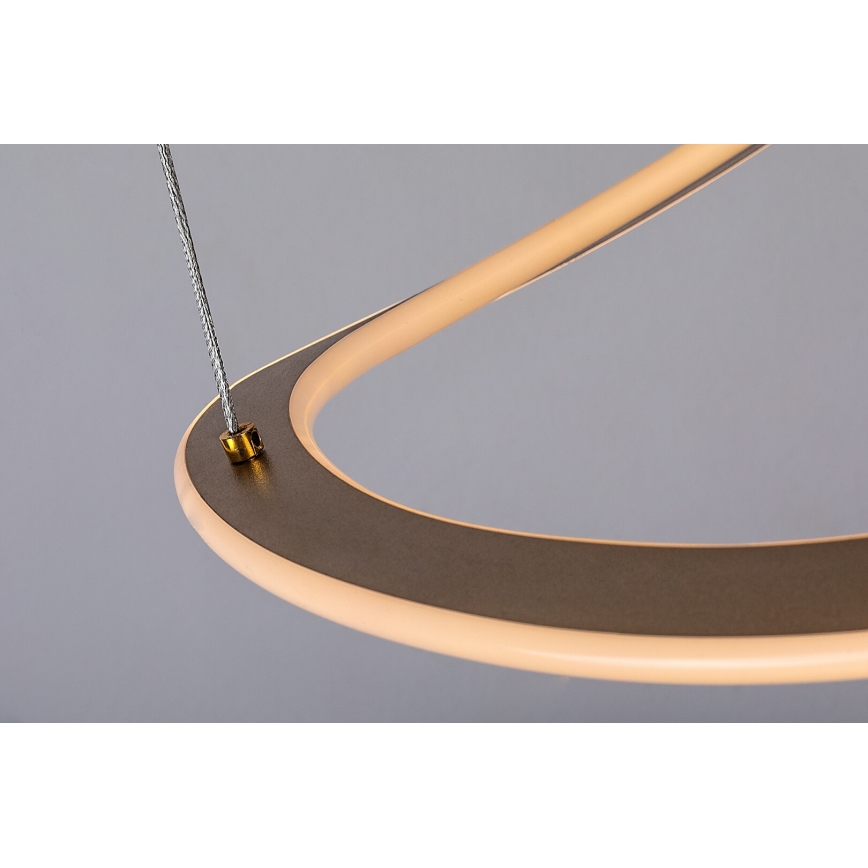 Rabalux - Suspension LED sur câble LED/40W/230V 3000K