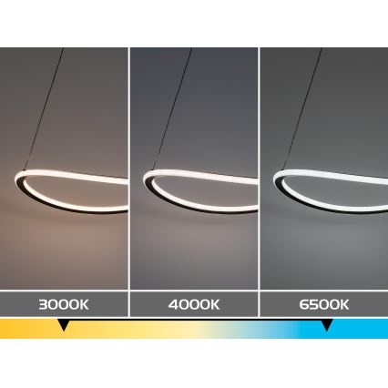 Rabalux - Lustre LED dimmable sur câble LED/45W/230V 3000-6500K + télécommande